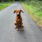 IMG-20250902-WA0013