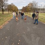 2026-02-10 at 20.56.00