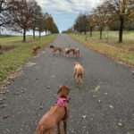 2026-02-10 at 20.56.00-2