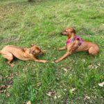 2026-02-10 at 20.57.53