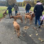 2026-02-10 at 20.57.53-2