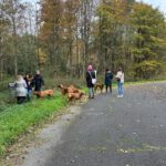 2026-02-10 at 21.00.06