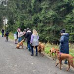 2026-02-10 at 21.00.06-2