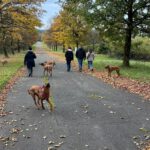 2026-02-10 at 21.00.06-4