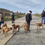 2026-02-10 at 21.04.21