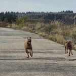 2026-02-10 at 21.04.21-2