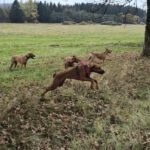 2026-02-10 at 21.04.22