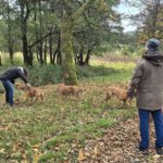 2026-02-10 at 21.04.22-2