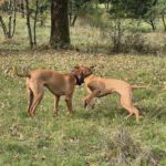 2026-02-10 at 21.04.22-4