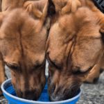 2026-02-10 at 21.04.23-10