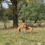 2026-02-10 at 21.04.23