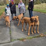 2026-02-10 at 21.04.23-2