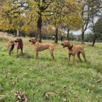 2026-02-10 at 21.04.23-3