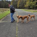 2026-02-10 at 21.04.23-4