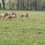 2026-02-10 at 21.04.23-5