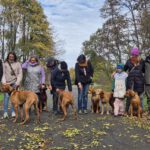 2026-02-10 at 21.04.23-6