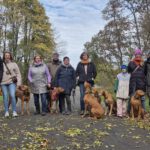 2026-02-10 at 21.04.23-7