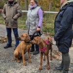 2026-02-10 at 21.04.24