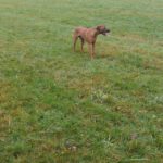 2026-02-10 at 21.05.43