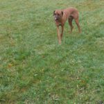 2026-02-10 at 21.05.43-2